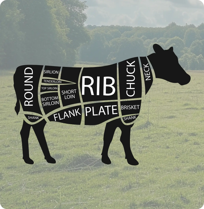 USDA Beef Processing